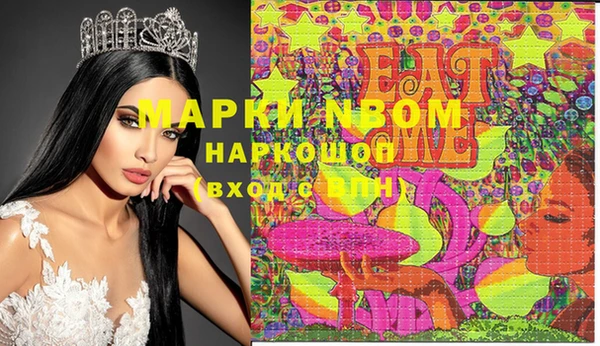 стаф Павловск